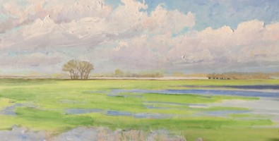 HOOG WATER KOMT OP IN DE HEESSELTSCHE UITERWAARDEN, acryl op paneel 60x 129 cm